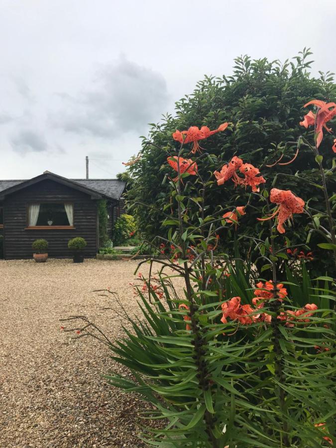 The Garden Cottage, Inglewhite Exterior photo